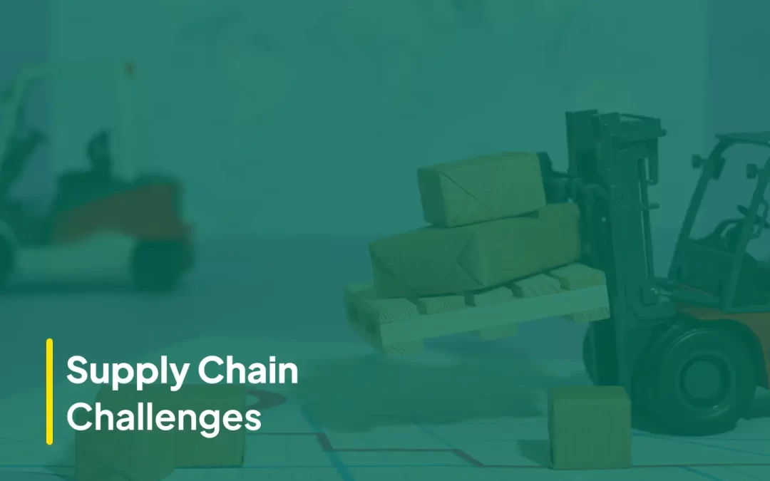 The Evolution and Challenges of Supply Chain Management in India