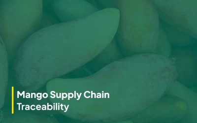 Mango Supply Chain Traceability: Ensuring Quality and Authenticity