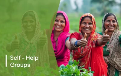 How We Empower Women SHGs with Technology: The Role of FPO1 and Scalion Trace