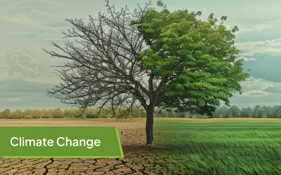 How Smart Agriculture Can Help India Adapt to Climate Change?