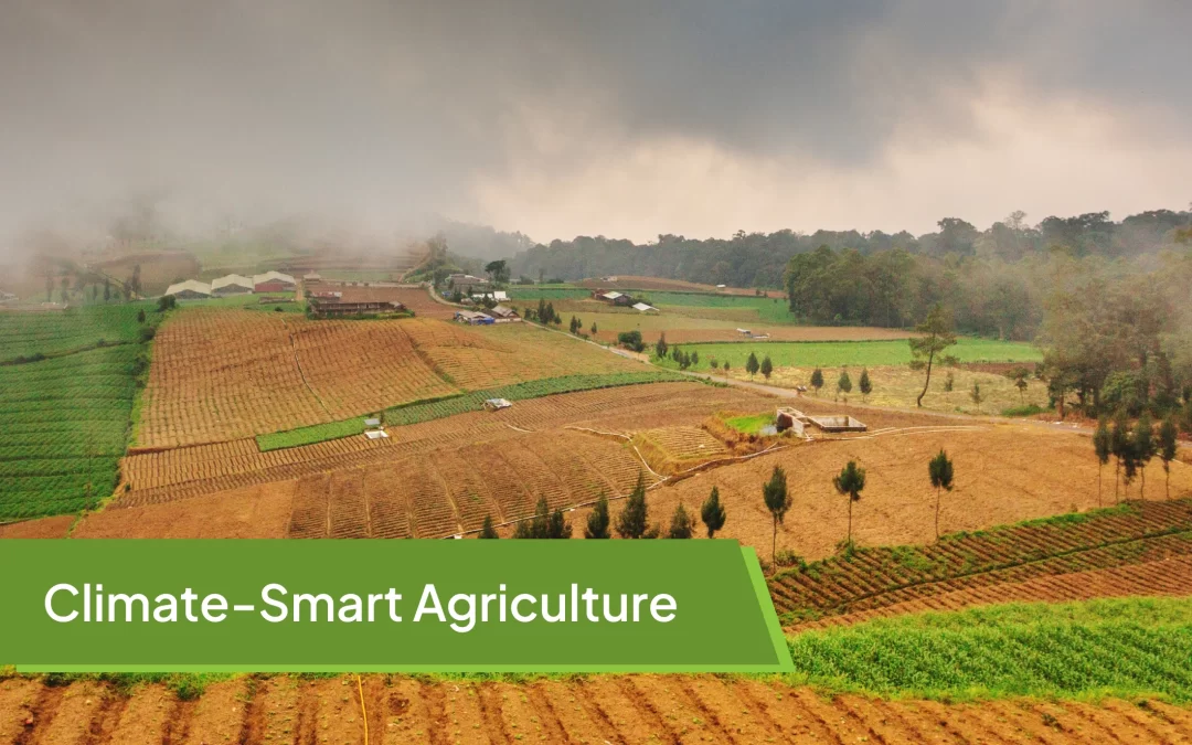Climate-Smart Agriculture: Is India Ready for the Shift?