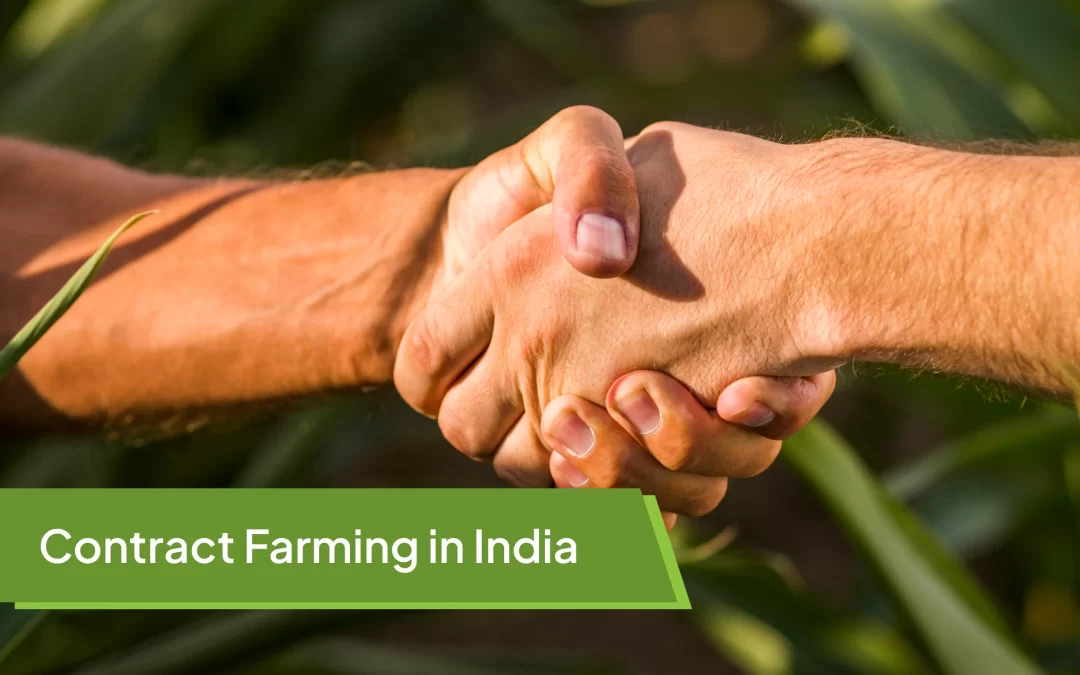 Contract Farming in India: Empowering Farmers and Transforming Agriculture