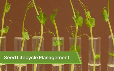 Seed Lifecycle Management: Why It Matters