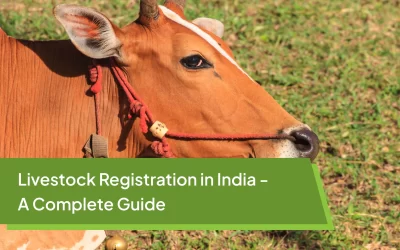 Livestock Registration in India – A Complete Guide
