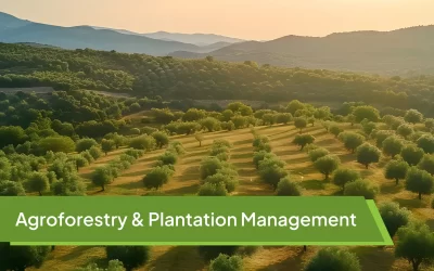 Agroforestry & Plantation Management: Driving Authenticity and Supply Chain Transparency