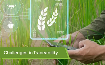 The Top 5 Challenges Agribusinesses Face in Traceability