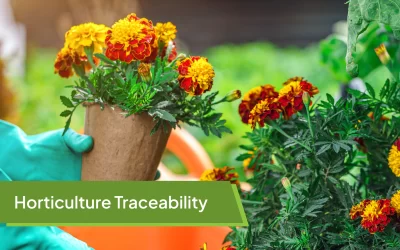 Horticulture Traceability: Turning Orchards into Data-Driven Enterprises