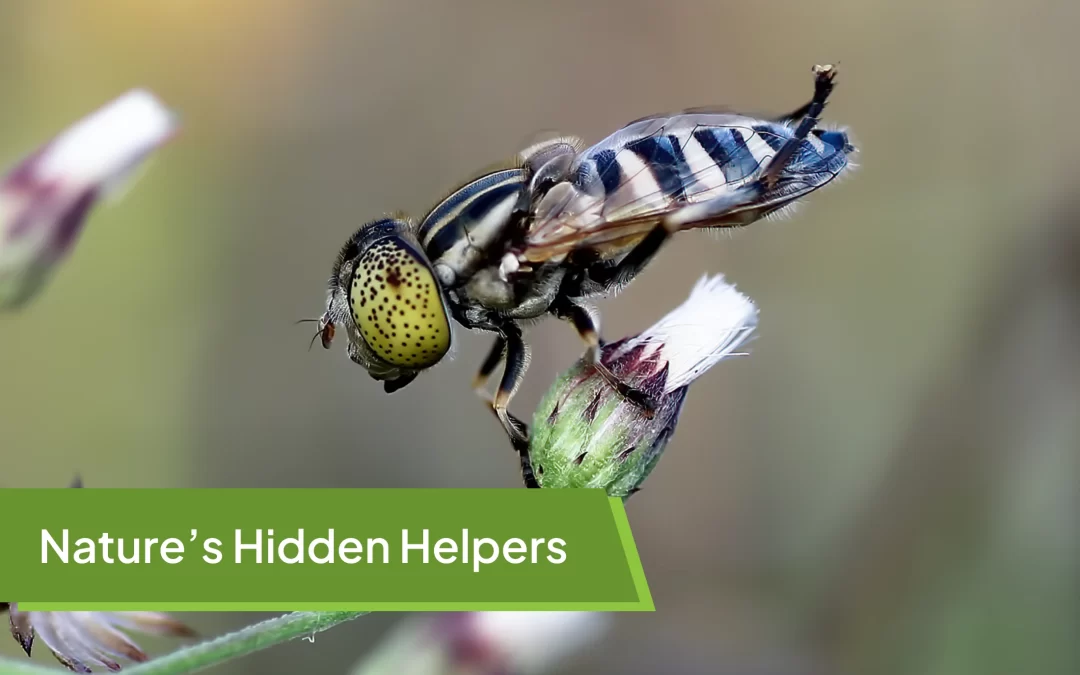 Nature’s Hidden Helpers: 12 Unexpected Pollinators That Keep Our World Blooming