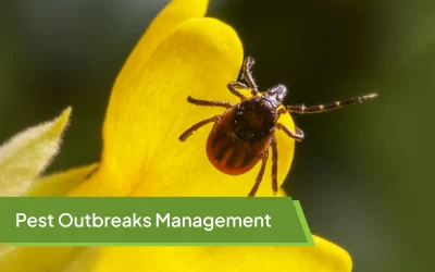 Managing Pest Outbreaks & Quality Issues with Lot-Level Tracking in Horticulture