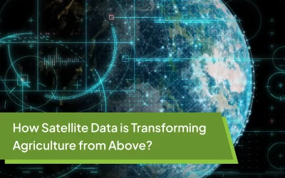 How Satellite Data is Transforming Agriculture from Above?