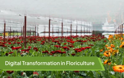 Digital Transformation in Floriculture