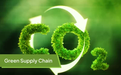 Green Supply Chains: Reducing Carbon Footprints in Agriculture