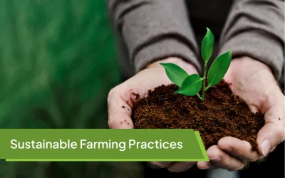 Sustainable Farming Practices: Building a Resilient Future for Agriculture