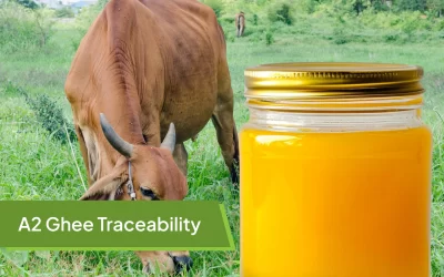 A2 Ghee Traceability: Ensuring Purity, Origin, and Consumer Trust