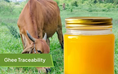 Ghee Traceability: Ensuring Purity, Origin, and Consumer Trust