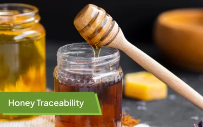 Honey Traceability: Building Trust from Hive to Home
